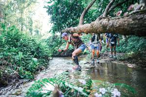 BIB: 
                            <button type="button" onclick="openModal(25449006)" class="btn btn-primary btn-sm float-right btn-popup" data-toggle="modal" data-target=".modal-high-quality">
                        <i class="fas fa-shopping-cart"></i> Add to Cart
                    </button>
                                            <button type="button" onclick="isThisMe(25449006, true)" class="btn btn-success btn-sm float-right btn-popup btn-isme hidden" data-toggle="tooltip" data-placement="bottom" title="นี่คือรูปของคุณใช่ไหม คลิกที่นี่เพื่อเอาเข้าอัลบั้ม">
                        <i class="fas fa-plus"></i> Add to album
                    </button>
                    <button type="button" onclick="isThisMe(25449006, false)" class="btn btn-warning btn-sm float-right btn-popup btn-isnotme hidden">
                        <i class="fas fa-ban"></i> Remove from album
                    </button>